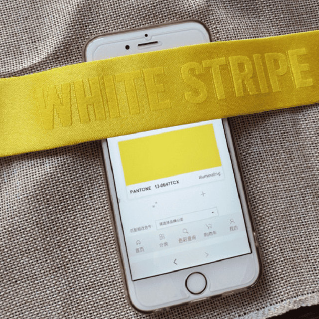 Shiny Elastic Tape for Underwear